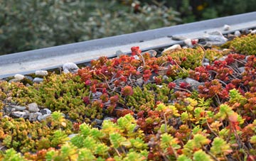 the cost of Lower Stondon green roof installation