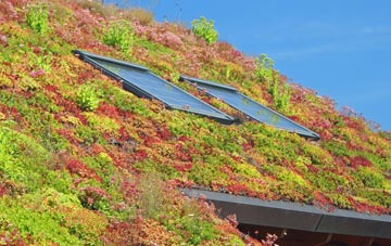 Lower Stondon living roof systems